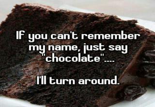 You never need an excuse to eat chocolate but you have one today. Over indulge and blame National Chocolate Day.