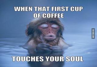 54 Funny Coffee Memes to Celebrate International Coffee Day - Funny ...