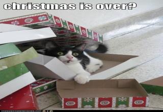 34 Memes For the Post-Holiday Hangover - Funny Gallery | eBaum's World