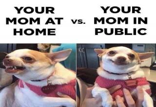 Here's your warning: Buy the gift, call your mom, or never hear the end of it. Here are some funny Mom Life memes to share over the upcoming days