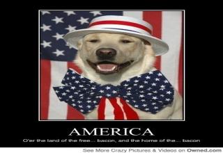 34 Patriotic Meme's & pic's To Make You Proud - Gallery | eBaum's World