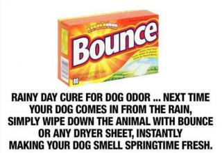 Items you have around the house could end your symptoms just as quick as some over-the-counter prescriptions.