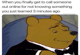 40 Tuxedo Winnie the Pooh Memes That'll Make You Feel Cultured - Funny ...