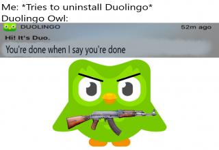 25 Duolingo Owl Memes That Threaten to Murder Your Family - Creepy Gallery | eBaum's World