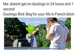 25 Duolingo Owl Memes That Threaten to Murder Your Family - Creepy