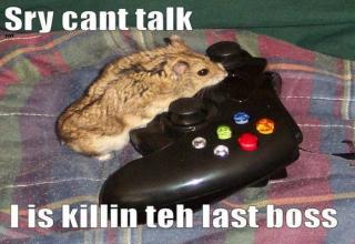 27 Memes So Hilarious You'll Probably Laugh Once - Funny Gallery | eBaum's World