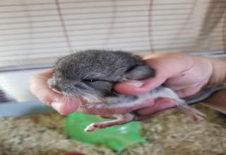 27 Memes So Hilarious You'll Probably Laugh Once - Funny Gallery | eBaum's World