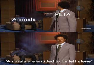 21 Memes All About Roasting PETA - Funny Gallery | eBaum's World