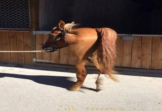 Panoramic photos can be breathtaking if done right - a spectacular view stretching beyond the scope of peripheral vision, all in one photo. When left up to phone-wielding amateurs, however, they turn the world into a warped, mutated circus of fear.