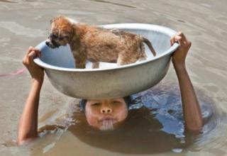 26 pictures of people being kind and selflessly helping animals.