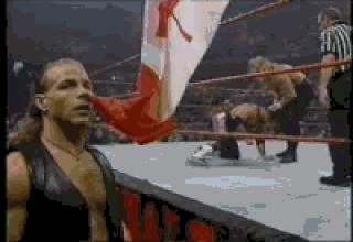 Here's some more awesome gifs from the fantastic world of professional wrestling.