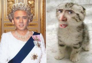 Disturbing and Hilarious Photoshops of Nicolas Cage - Gallery | eBaum's ...