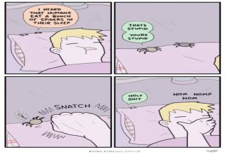 A Nonchalant Compilation of 36 Remarkable Pics - Funny Gallery | eBaum ...
