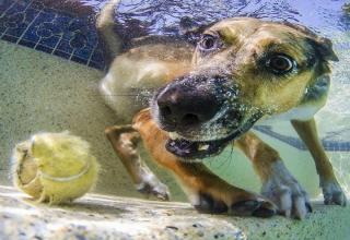 41 Amusing Pics Assembled in No Particular Order | eBaum's World