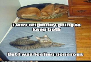 Funny animal pictures with quotes - Gallery | eBaum's World