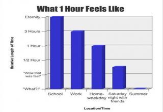 Funny graphs - Gallery | eBaum's World