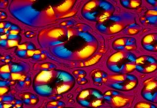 They crystallize beers, wines, cocktails, and liquors then photograph the results under a polarized light microscope.