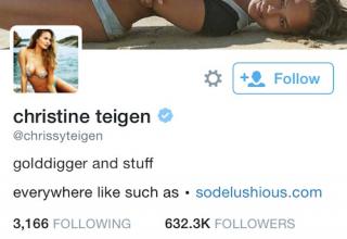a twitter bio is the perfect place to be super silly