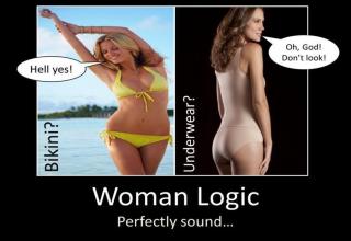 female logic simply doesn't make much sense