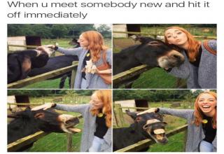 The Funniest Pics You'll See All Week - Gallery | eBaum's World