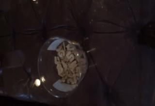 17 Of The Best "Send Nudes" Ever Sent - Ftw Gallery | eBaum's World