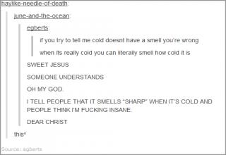 21 Ridiculous Thoughts That Could Only Come From Tumblr Funny Gallery