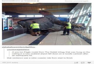 16 Best Headlines to Come Out of New Zealand - Funny Gallery | eBaum's ...