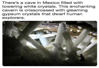 14 Amazing Things You Never Knew Existed eBaum's World