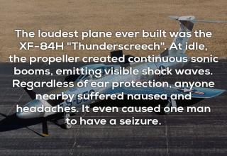 24 Facts About Dumb Things That Are Actually Interesting - Wow Gallery