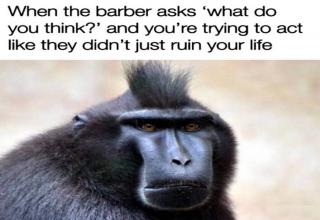 35 Great Pics and Memes to Improve Your Mood - Funny Gallery | eBaum's ...