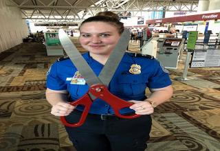 The TSA has confiscated some wild stuff.