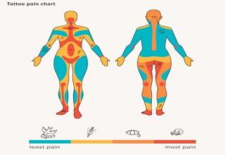 28 Infographics to Raise Your Serotonin Levels - Funny Gallery | eBaum ...