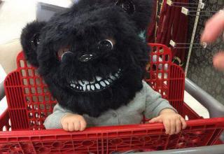 38 Random Pics Assembled in No Particular Order - Funny Gallery | eBaum ...