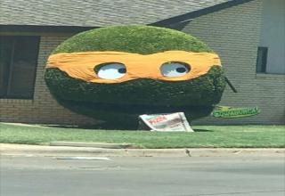 38 Random Pics Assembled in No Particular Order - Funny Gallery | eBaum ...