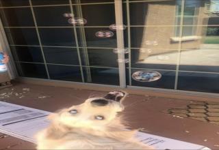 39 Funny Pics and Memes For Easy Scrolling | eBaum's World