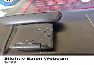 28 Illegal Things Being Sold on Facebook Marketplace - Wtf Gallery