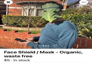 28 Illegal Things Being Sold on Facebook Marketplace - Wtf Gallery