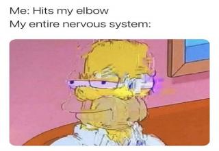 26-funny-memes-that-embrace-the-chaos-funny-gallery-ebaum-s-world