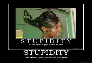 The Gallery About Stupidity has arrived.