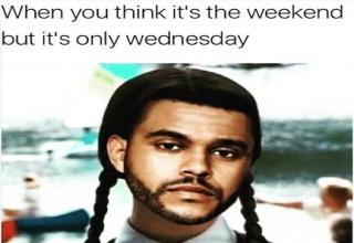 Humpday Memes To Help You Get Through Wednesday - Funny Gallery | eBaum ...