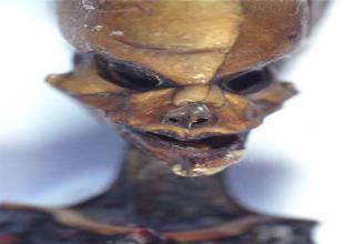The mummified remains of what looks like a 6-inch space alien found in Chile.