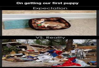23 Examples Of Expectations VS Reality - Funny Gallery | eBaum's World