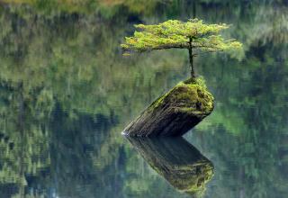 27 Spectacular Pictures of Our Beautiful World - Ftw Gallery | eBaum's ...
