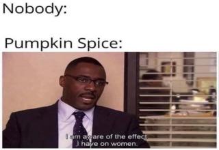 32 'The Office' Memes to Print on Dunder Mifflin Paper and Mail to Your ...