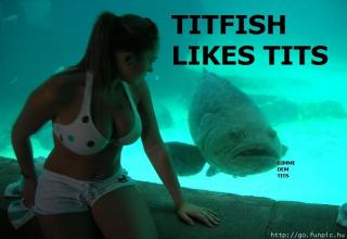 Random Funny WTF Gallery