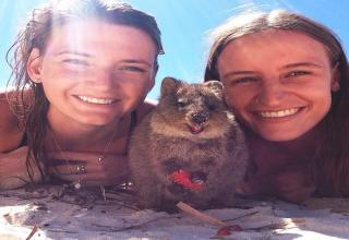 Whether it's a photobomb or a group selfie, these creatures know how to pose.