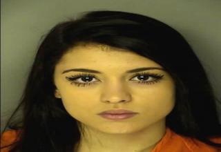 19 Of The Hottest Women Ever Arrested - Wow Gallery | eBaum's World