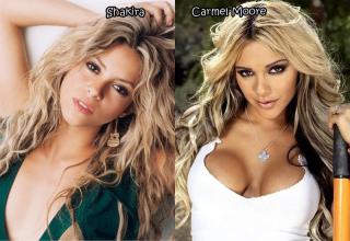 Did you know that these celebs had a lookalike in porn?