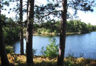 Photos taken by me, during my trip to Pointe Au Baril, Ontario, Canada. 