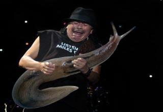 Pained faces of soloing rock stars make a lot more sense with giant slugs replacing guitars